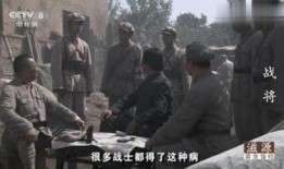 在线观看战将,烽火岁月里的英雄传奇
