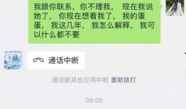 樊小慧爆料有小三吗视频,视频曝光惊人内幕