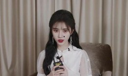 李现爆料鞠婧祎视频大全,揭秘明星幕后趣事