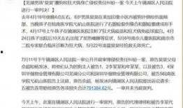 法律新闻爆料怎么写范文,深度解析最新案件动态