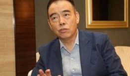 陈凯歌家庭爆料视频,揭秘导演背后的家庭生活