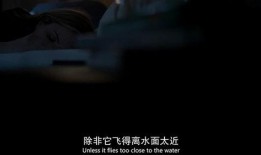 非典型孤独在线观看,揭秘现代社交困境的在线心灵之旅