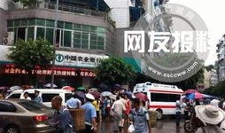 四川宜宾最新爆料新闻,揭秘神秘事件背后的真相