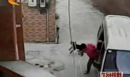 最新偷鱼爆料新闻,揭秘黑幕，渔民权益再受冲击