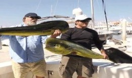 最新偷鱼爆料新闻,揭秘黑幕，渔民权益再受冲击