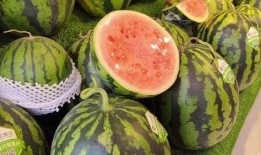 新疆网红男的吃瓜高清版,揭秘幕后真相与趣味瞬间