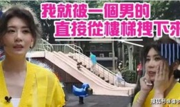 撬墙角在线观看,在线观看背后的故事与启示