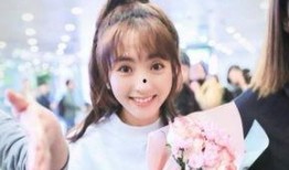 爆料娱乐圈邢菲是谁啊视频,娱乐圈新晋小花，揭秘爆料视频背后的故事