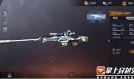 游骑兵皮肤爆料视频大全,视觉盛宴，尽享游戏魅力