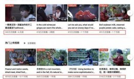 爆料网红真假视频下载网站,揭秘幕后真相