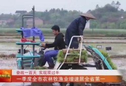 双锋镇第一季在线观看,在线观看，揭秘神秘小镇的惊悚故事