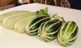 各种吃瓜网红精品视频,揭秘热门视频背后的精彩故事