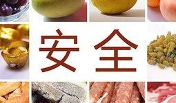 食物爆料揭秘视频下载,下载背后的故事