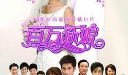 百万新娘在线观看,跨越时空的真爱传奇