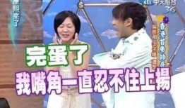 娱乐圈爆料明星名单小说,揭秘那些被爆料的明星名单