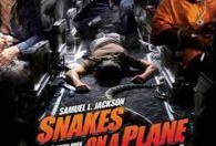 空中蛇灾在线观看,惊悚直播，揭秘神秘蛇群入侵