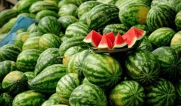 吃瓜黑料网红后入口,入口即知真相背后的故事