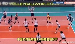 中国排球爆料最新消息今天,揭秘今日热点事件