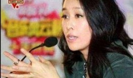 那英爆料刀郎视频,一段鲜为人知的音乐传奇