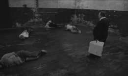 人体蜈蚣在线观看地址,惊悚悬疑，揭秘人体极限的恐怖之旅