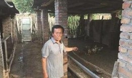 农民新闻视频爆料,揭秘农村真实现状，引发社会关注