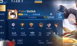 王者射手爆料视频,揭秘神秘英雄技能与背景故事