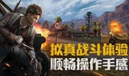 爆料007和平精英视频,揭秘游戏幕后制作与精彩片段