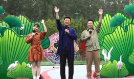 长春东大桥最新爆料视频,揭秘神秘工程进展与周边影响