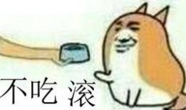 不敢吃的瓜娱乐圈,不敢吃的瓜，揭秘明星背后的惊人真相