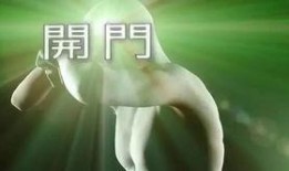 真人耽美视频在线观看,一场视觉与情感的盛宴