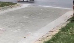 刘先生爆料最新视频,事件真相再引热议