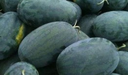 吃瓜黑料网红后入口,入口即知真相背后的故事