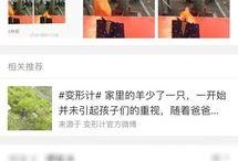 海门网红爆料事件视频曝光,揭秘事件背后真相