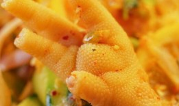 网红吃鸡瓜,吃鸡瓜大作战！