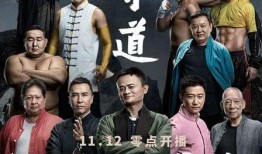 功守道电影在线观看,探寻武术与哲学的完美融合