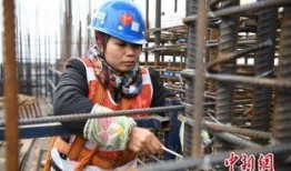 农民新闻视频爆料,揭秘农村真实现状，引发社会关注