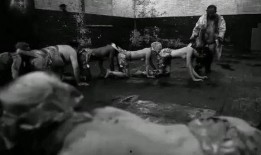 人体蜈蚣在线观看地址,惊悚悬疑，揭秘人体极限的恐怖之旅