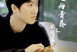 常远爆料王萍视频,真相背后引人深思