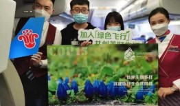 南航学生爆料新闻视频下载,揭秘校园事件背后真相