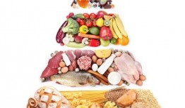 食物爆料揭秘视频下载,下载背后的故事