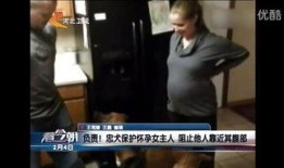 在线自视频在线观看,在线视频观看体验全解析