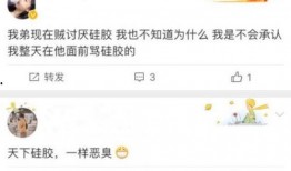 最新爆料肖战杨紫事件,真相揭秘，娱乐圈新动态引热议