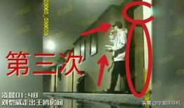 撬墙角在线观看,在线观看背后的故事与启示