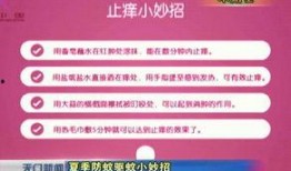 天门新闻爆料网站大全,汇聚本地资讯，助力市民了解身边事