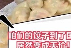 爆料天价水饺怎么做视频,揭秘背后的奢华与争议