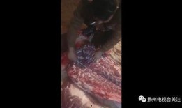 刘先生爆料最新视频,事件真相再引热议