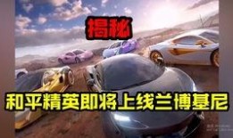 和平精英新转盘最新爆料,惊喜福利来袭，玩家狂欢不止！