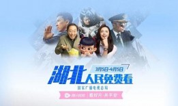 三宝爸爆料视频大全集免费观看