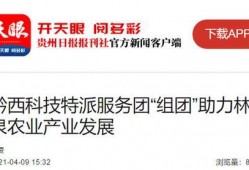 黔西爆料新闻联系方式,紧急联系方式公开，市民可随时举报线索