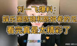 娱乐爆料刘一飞,揭秘明星幕后故事